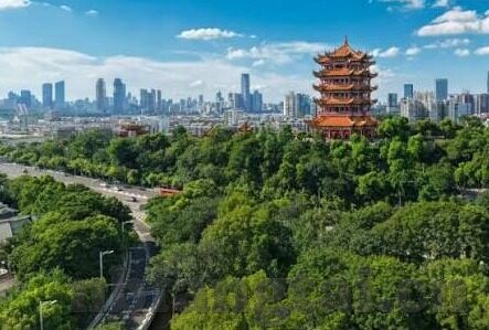 91麻豆国产精品自拍-91麻豆国产精品自拍，从创作模式到社交趋势的深度洞察