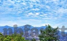 大象传媒app免费-探索大象传媒APP的免费魅力，解锁数字娱乐新体验