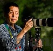 i91.media果冻传媒-探索i91.media果冻传媒，数字时代的创意与革新