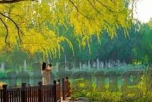 麻豆av网站-与公众道德相悖的行为不可取