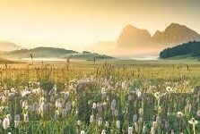 日韩av专区-日韩AV专区，文化、艺术与探索的交汇点
