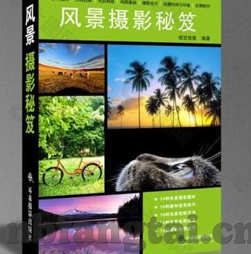 中文字幕av免费专区-探索成人娱乐的边界，中文字幕AV免费专区的多元视角